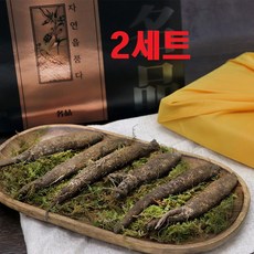 경성건강원 더덕선물세트 강원도 자연산 야생 더덕 식감좋은 생더덕 사포닌 혈행건강 칼륨 칼슘 겨울더덕효능 선물세트400g 10~14뿌리, 2개, 400g 10~14뿌리