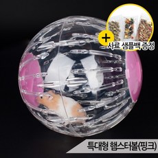 카르노 특대형 햄스터볼 핑크 골든햄스터 왕볼 RJ333, 없음, 1개