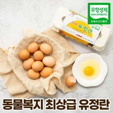 옹알옹알계란