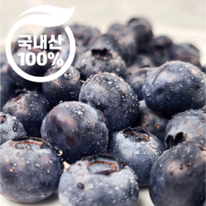 [슈퍼푸드] 신의과일 국내산100% 생 블루베리, 1박스, 200g