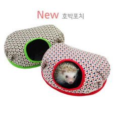 도치퀸겨울