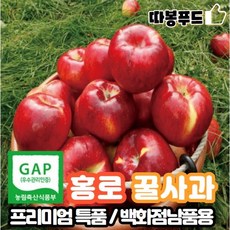 [당일수확+당일배송] GAP인증 프리미엄 특등급 사과 홍로 부사과, 2) 홍로 사과 3kg - 중과