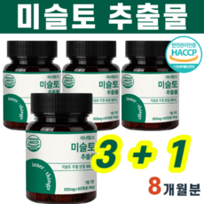 추천3 미슬토