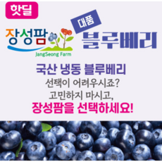 대품(15mm 내외) 장성팜 국산 냉동 블루베리 1kg, 1개