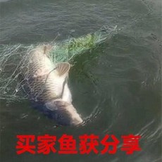 421e45d8ecedcfb20b07517a623faefc3f788660d56d70c7ce4630202e10.jpeg