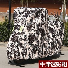 옥스포드거북차