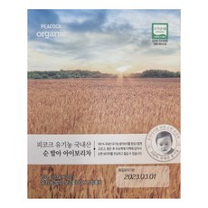 순아이티보리차