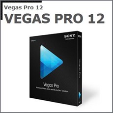 소니 Vegas Pro 12, 단일상품