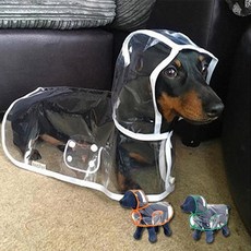 보스턴테리어우비