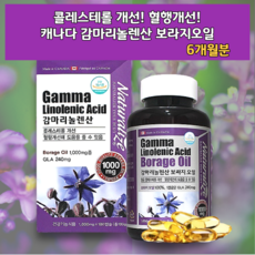 레이디밸런스감마리놀렌산