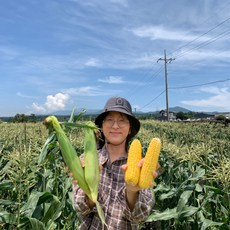 옥수수-추천-상품
