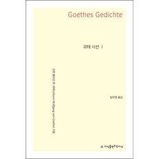 괴테 시선 1, 커뮤니케이션북스, 요한 볼프강 폰 괴테 저/임우영 역
