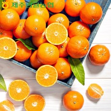 제주농협귤로장생