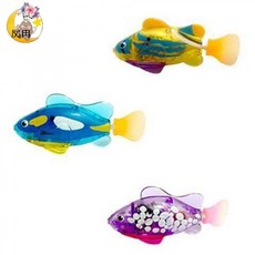 반려동물캣물고기수족관