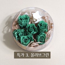화연양화 미니장미 6개입 프리저브드플라워 시들지않는생화, 특가3 올리브그린