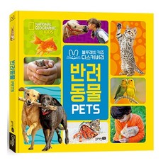 블루래빗키즈디스커버리