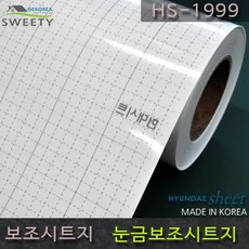 보조시트지