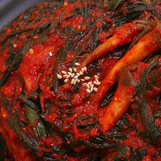 종가집고들빼기김치