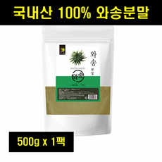 국내산 국산 와송가루 와송분말 바위솔가루 바위솔분말 100% 100퍼센트 100프로 500g 1팩, 1개