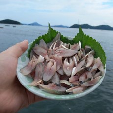 지안 전어회 세꼬시 필렛 전어, 1세트, 세꼬시 300g 6-9미 내외