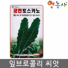 토스카노씨앗 1000립 잎브로콜리 씨앗 씨 쌈채소 종자