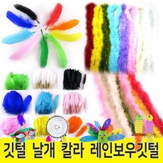 깃털바디풍