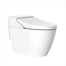 플랫라운드비데일체형