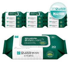 모나리자 핸디닥터 손소독티슈 물티슈 캡 30매*10입, 30개, 30개