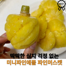 [ 바로 먹는 꼬마 태국 과일 생과 파인애플 푸레 ] 심지 까지 먹는 간편 미니파인에플 파인머스켓 열대과일, 1박스, 1kg