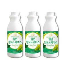쉘몬 과일농축액 과육타입 베이스 1kg 3종(자몽 레몬 청포도)