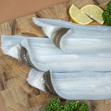 [산지직송] 국산 자연산 손질 바다 장어 하모 아나고 붕장어 구이 당일작업, 장어 (대) 4~5미 소스2종포함, 1개, 1kg