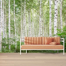 자작나무숲벽지