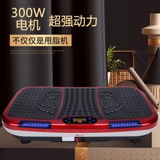 옥주현진동운동기구