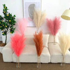 대림디움핑크뮬리