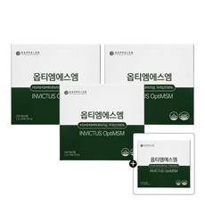 라플레 옵티엠에스엠 OPTIMSM, 120g, 4박스 - 옵티세로