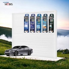  제네시스BH 정품 에어컨필터 전용 탈취제 세트 hib*7989PH, 오션블루, 본상품선택 