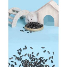 블리스플 소동물용간식 햄스터 과자 쿠키, 해바라기100g, 1개