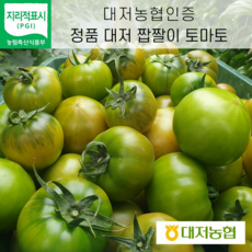 (백프로 품질보증제) 대저 짭짤이 토마토 2KG 대저농협인증, 맛보기 로얄과 (S~2S사이즈) 1kg