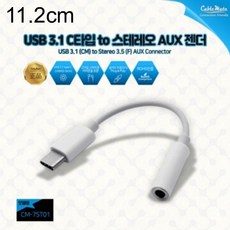 USB케이블List USB 3.1 C타입 to 스테레오 AUX 젠더, 1