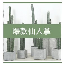 선인수박