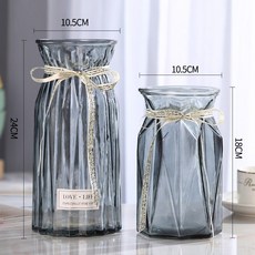 수경식물 TOP01