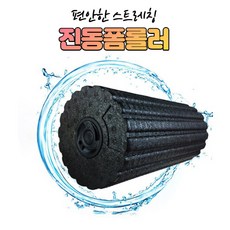 바디스핀롤러