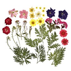 캘리그라피미니양초