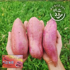 지은농원 호박고구마 (긴상) 100%리콜제 3kg 5kg 10kg, 긴상3kg