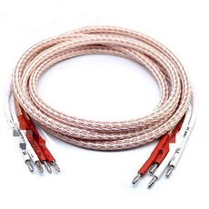 은바나나플러그