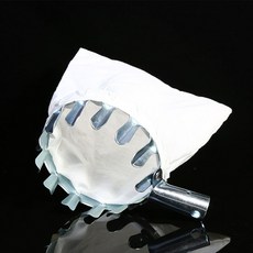 블루베리따기체험