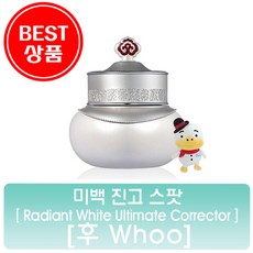 공진향설미백진고스팟