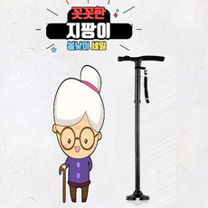 코끼리지팡이 TOP01