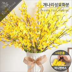 +사은품 성묘꽃 화분 SET 수반 납골당 산소 묘소 조화 수목장, 10.개나리성묘화분set 65cmR+캔버스A