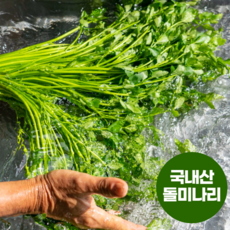 미나리요리 추천 1등 제품